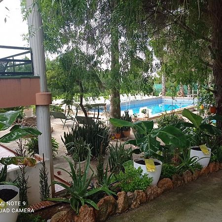 Casa Rural Complex Masia Del Tremendo Y Agroturismo Camarles Εξωτερικό φωτογραφία