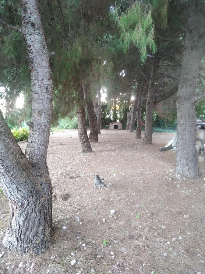 Casa Rural Complex Masia Del Tremendo Y Agroturismo Camarles Εξωτερικό φωτογραφία