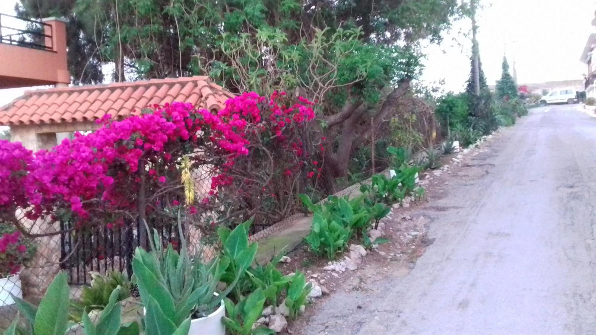 Casa Rural Complex Masia Del Tremendo Y Agroturismo Camarles Εξωτερικό φωτογραφία